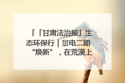 「甘肃法治报」生态环保行｜景电二期“焕新”，在荒漠上筑起一道绿色长城