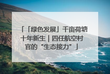 「绿色发展」千亩荷塘 十年新生｜四任航空村官的“生态接力”