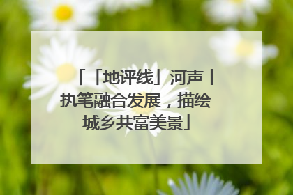 「地评线」河声丨执笔融合发展，描绘城乡共富美景