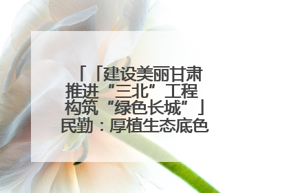 「建设美丽甘肃 推进“三北”工程 构筑“绿色长城”」民勤：厚植生态底色 筑牢绿色屏障