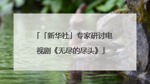「新华社」专家研讨电视剧《无尽的尽头》