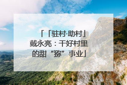 「驻村·助村」戴永亮：干好村里的甜“猕”事业