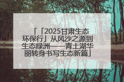 「2025甘肃生态环保行」从风沙之源到生态绿洲——青土湖华丽转身书写生态新篇