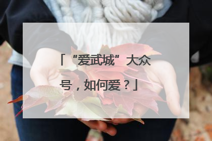 “爱武城”大众号，如何爱？