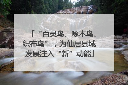 “百灵鸟、啄木鸟、织布鸟”，为仙居县域发展注入“新”动能