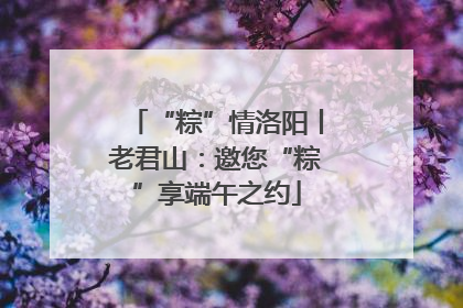 “粽”情洛阳丨老君山：邀您“粽”享端午之约