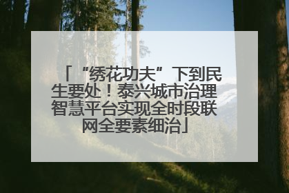 “绣花功夫”下到民生要处！泰兴城市治理智慧平台实现全时段联网全要素细治