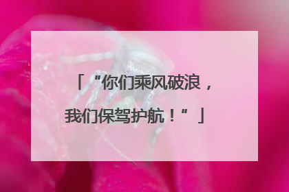 “你们乘风破浪，我们保驾护航！”