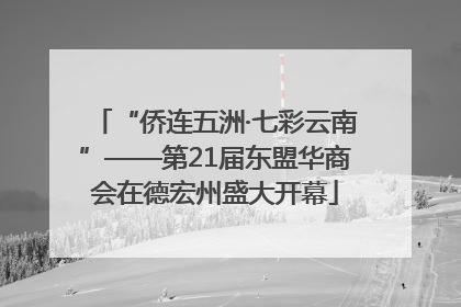 “侨连五洲·七彩云南”——第21届东盟华商会在德宏州盛大开幕