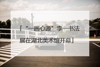 “一画心源”李一书法展在湖北美术馆开幕
