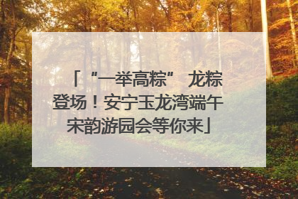 “一举高粽” 龙粽登场！安宁玉龙湾端午宋韵游园会等你来