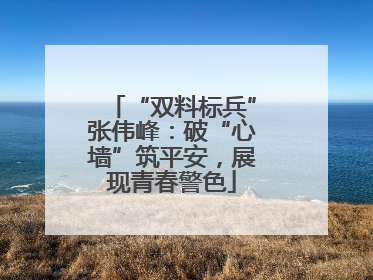 “双料标兵”张伟峰：破“心墙”筑平安，展现青春警色