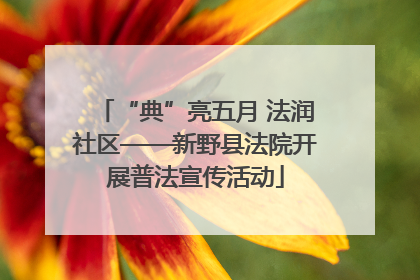 “典”亮五月 法润社区——新野县法院开展普法宣传活动
