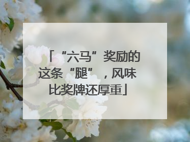 “六马”奖励的这条“腿”，风味比奖牌还厚重