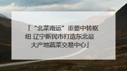 “北菜南运”重要中转枢纽 辽宁新民市打造东北最大产地蔬菜交易中心