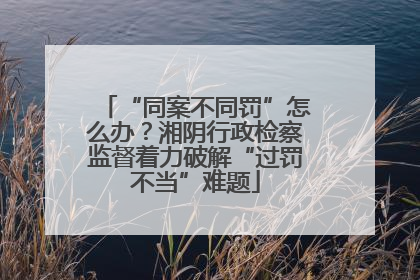 “同案不同罚”怎么办？湘阴行政检察监督着力破解“过罚不当”难题