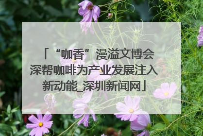 “咖香”漫溢文博会 深帮咖啡为产业发展注入新动能_深圳新闻网