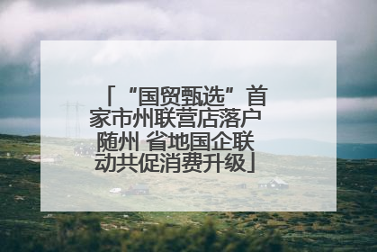 “国贸甄选”首家市州联营店落户随州 省地国企联动共促消费升级