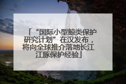 “国际小型鲸类保护研究计划”在汉发布，将向全球推介落地长江江豚保护经验