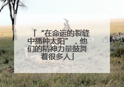 “在命运的裂缝中播种太阳”，他们的精神力量鼓舞着很多人