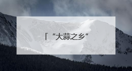 “大蒜之乡”精算乡村振兴幸福账——成武县大田集镇见闻