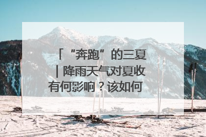 “奔跑”的三夏｜降雨天气对夏收有何影响？该如何防范？一文了解