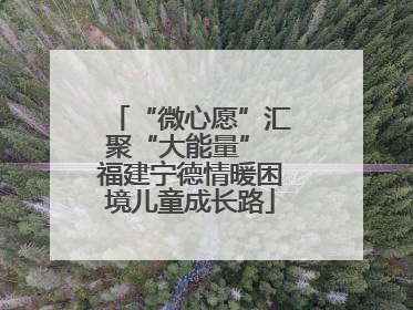 “微心愿”汇聚“大能量” 福建宁德情暖困境儿童成长路