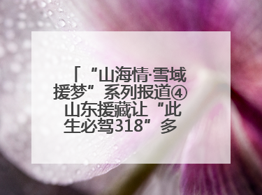 “山海情·雪域援梦”系列报道④ 山东援藏让“此生必驾318”多了N个理由