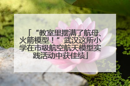 “教室里摆满了航母、火箭模型！”武汉这所小学在市级航空航天模型实践活动中获佳绩