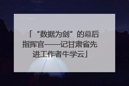 “数据为剑”的幕后指挥官——记甘肃省先进工作者牛学云