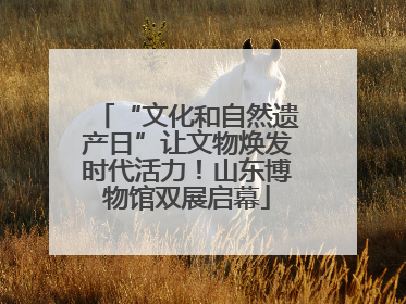 “文化和自然遗产日”让文物焕发时代活力！山东博物馆双展启幕