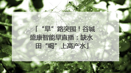 “旱”路突围！谷城盛康智能旱直播：缺水田“喝”上高产水