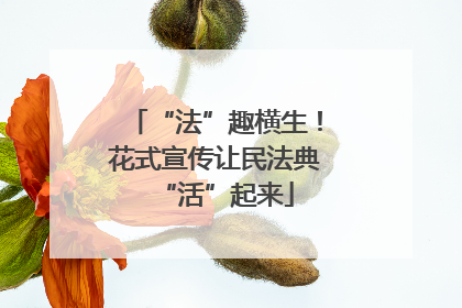 “法”趣横生！花式宣传让民法典“活”起来