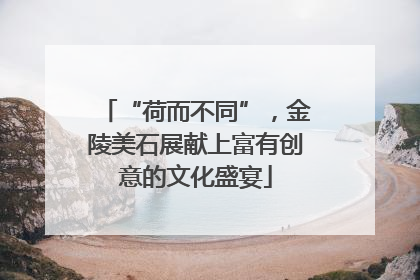 “荷而不同”，金陵美石展献上富有创意的文化盛宴