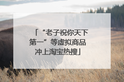 “老子祝你天下第一”等虚拟商品冲上淘宝热搜