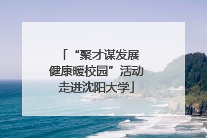 “聚才谋发展 健康暖校园”活动走进沈阳大学