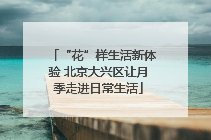 “花”样生活新体验 北京大兴区让月季走进日常生活