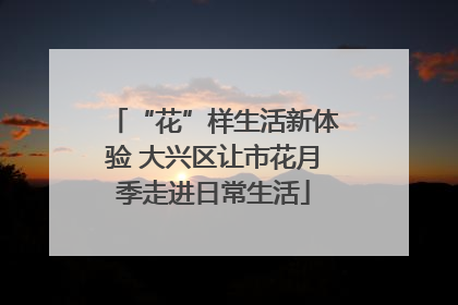 “花”样生活新体验 大兴区让市花月季走进日常生活
