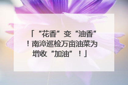 “花香”变“油香”！南漳巡检万亩油菜为增收“加油”！