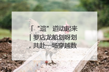 “遗”道动起来｜罗店龙船划呀划，共赴一场穿越数百年的端午之约