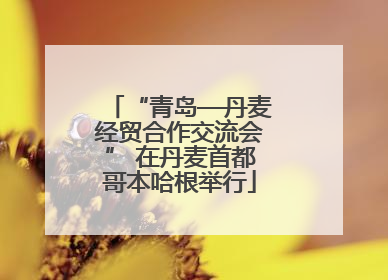 “青岛—丹麦经贸合作交流会” 在丹麦首都哥本哈根举行