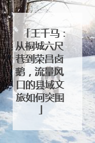 王千马：从桐城六尺巷到荣昌卤鹅，流量风口的县域文旅如何突围
