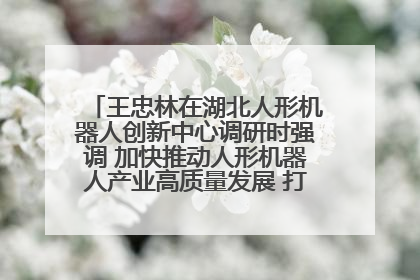 王忠林在湖北人形机器人创新中心调研时强调 加快推动人形机器人产业高质量发展 打造具有全国影响力的研发创新基地