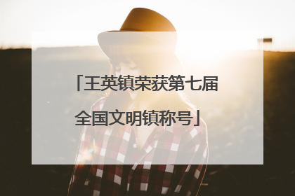 王英镇荣获第七届全国文明镇称号