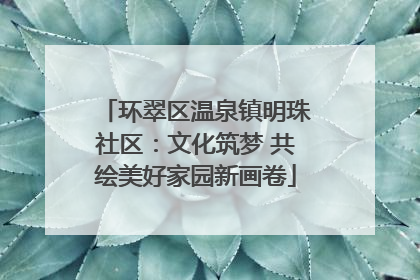 环翠区温泉镇明珠社区：文化筑梦 共绘美好家园新画卷