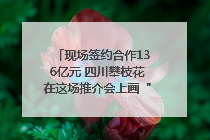 现场签约合作136亿元 四川攀枝花在这场推介会上画“图谱”列“清单”