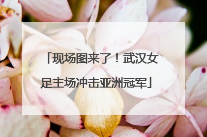 现场图来了！武汉女足主场冲击亚洲冠军