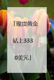 现货黄金站上3330美元