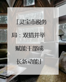 灵宝市税务局：双措并举 赋能干部成长新动能