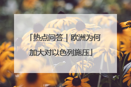 热点问答｜欧洲为何加大对以色列施压